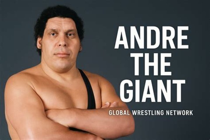 How tall is Andre The Giant - Page 16