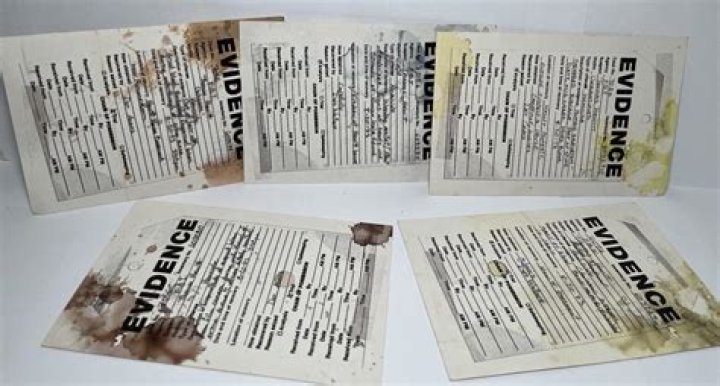 Exploring the Impact of Dee Dee Crime Scene Photos: A Deep Dive into the Case