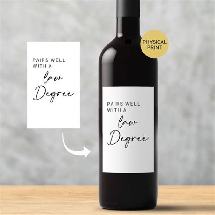 Does Ari Melber Have a Law Degree? Unpacking the MSNBC Host's Legal Background