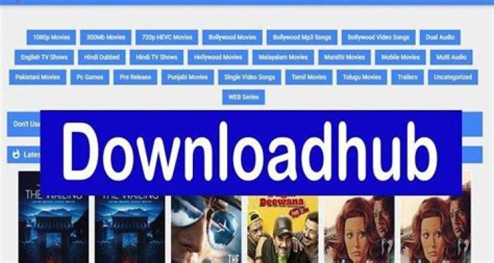 Ultimate Guide to Downloadhub 300MB: Everything You Need to Know
