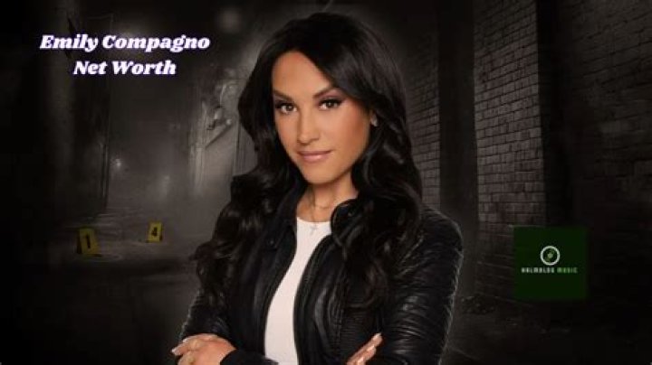 Emily Compagno Net Worth: Tracing Her Path to Financial Heights