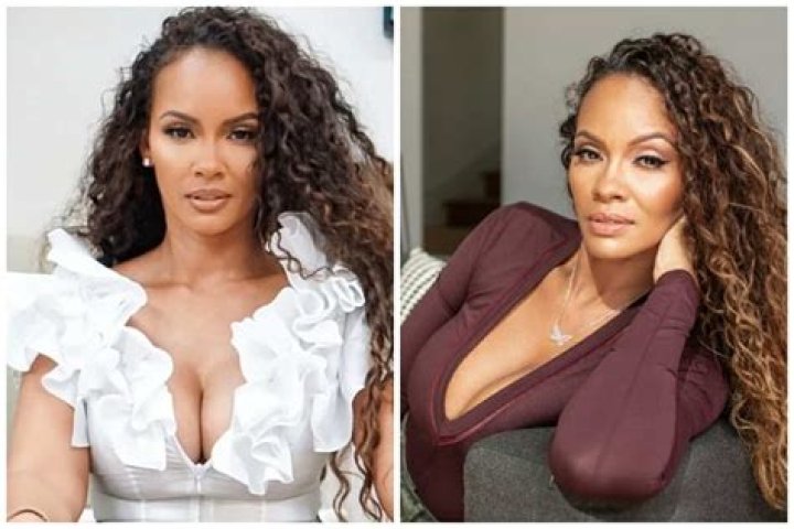 Evelyn Lozada Net worth, Age, Nationality, Ethnicity. 2022