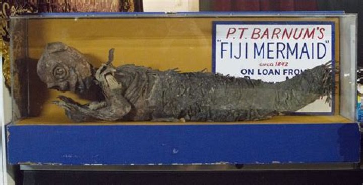 Researchers Working To Unlock The Mystery Of A 'Fiji Mermaid'