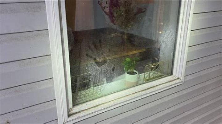 Unveiling the Mystery: A Comprehensive Look at Gypsy Rose Criminal Scene Photos