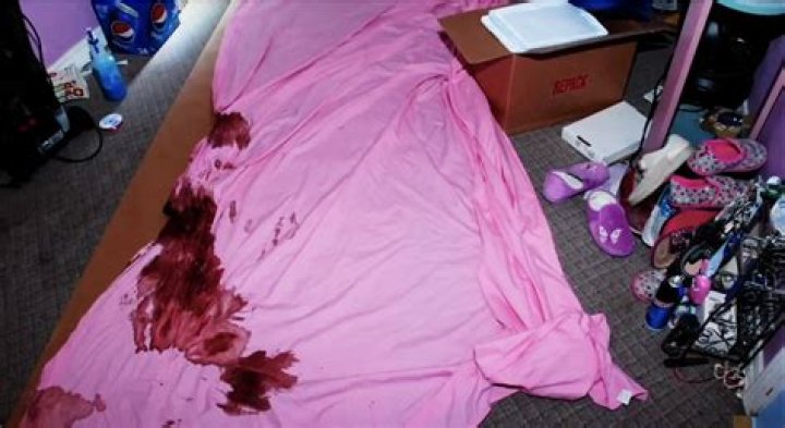 Exploring the Controversy: Gypsy Rose Leaked Crime Scene Photos - A Deep Dive into the Case