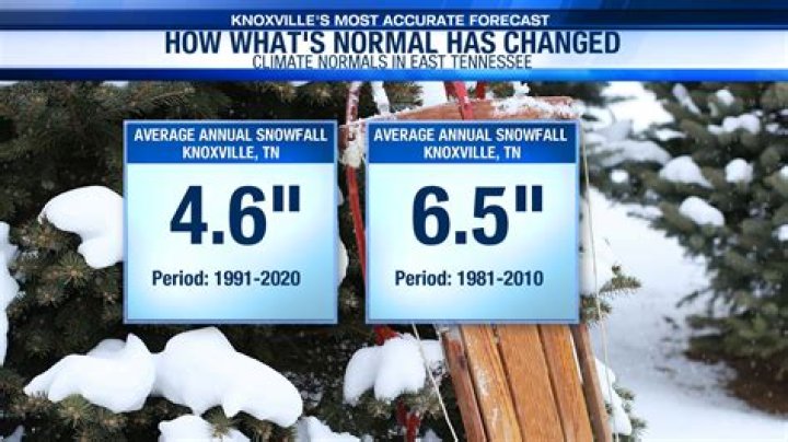 How Did Knoxville Meet Bam? Unpacking Their Jackass Beginnings