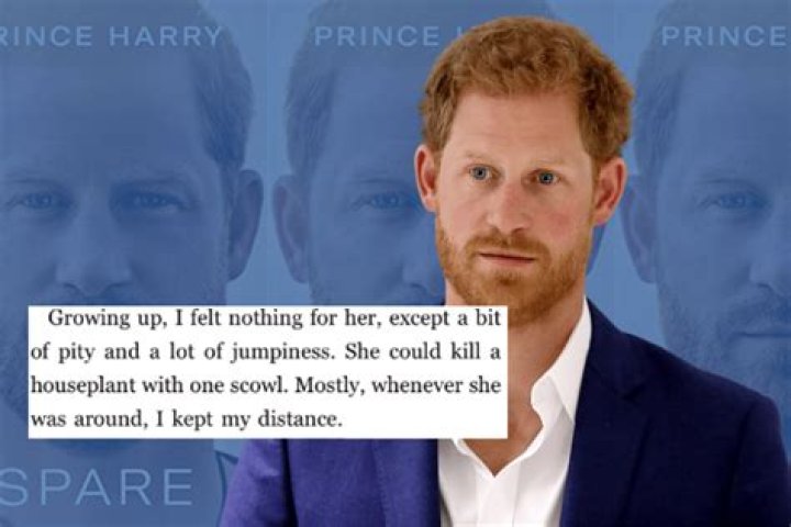 Unpacking the Mystery: How Much Money Did Prince Harry Settle For?