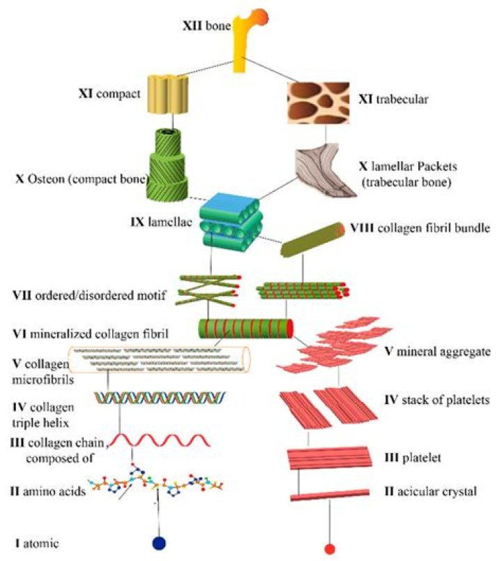 Is Samuel Soba Real? Or Is It Another Name of Serge Ibaka? Or Is It a Hoax? Everything About Keri Hilson’s Husband.