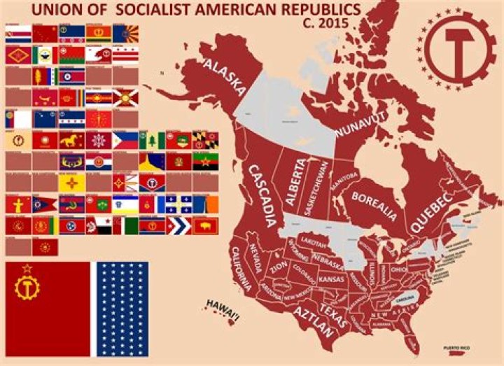 Is the US Socialist? A Look at America's Economic Identity