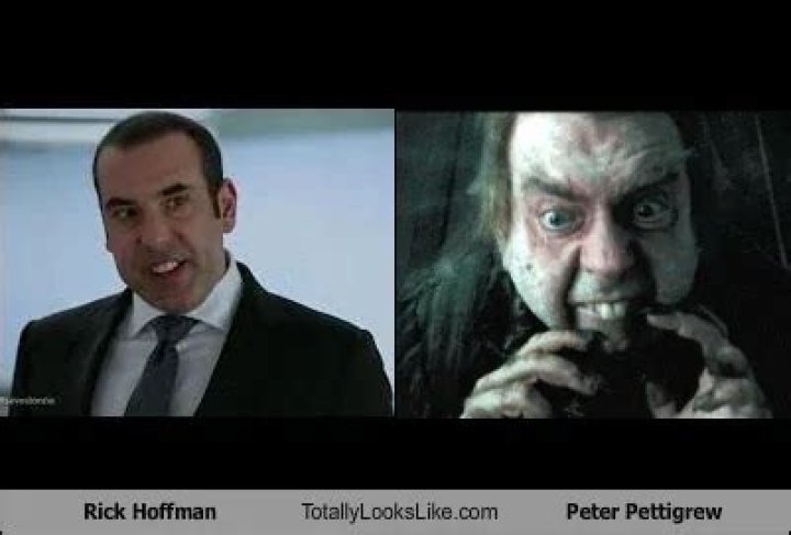 Dive Deep into the Multiverse: Everything You Need to Know About Rick and Morty Season 8 and Beyond