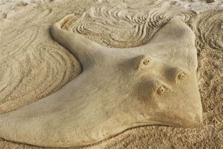 Stingray Sand Sculpture Could Be The World's Oldest Animal Art