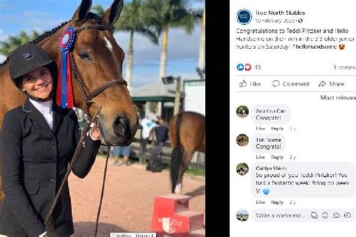 Teddi Pritzker: The Multifaceted Life of a Philanthropist and Business Leader