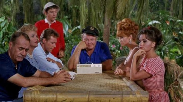 What happened on the last episode of Gilligan's Island? (Celebrity Interview)