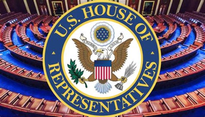 What is a U.S. Representative? Your Voice in Washington