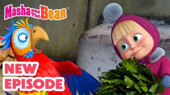 What is Masha Short For? Unpacking the Name Behind the Beloved Cartoon Character