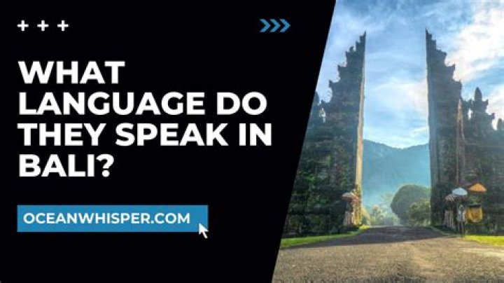 Unlocking the Cosmic Tongue: What Language Do Aliens Speak?