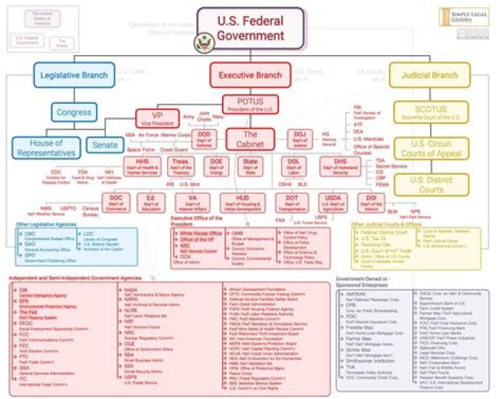 What Type of Government is the US? Unpacking America's Unique System
