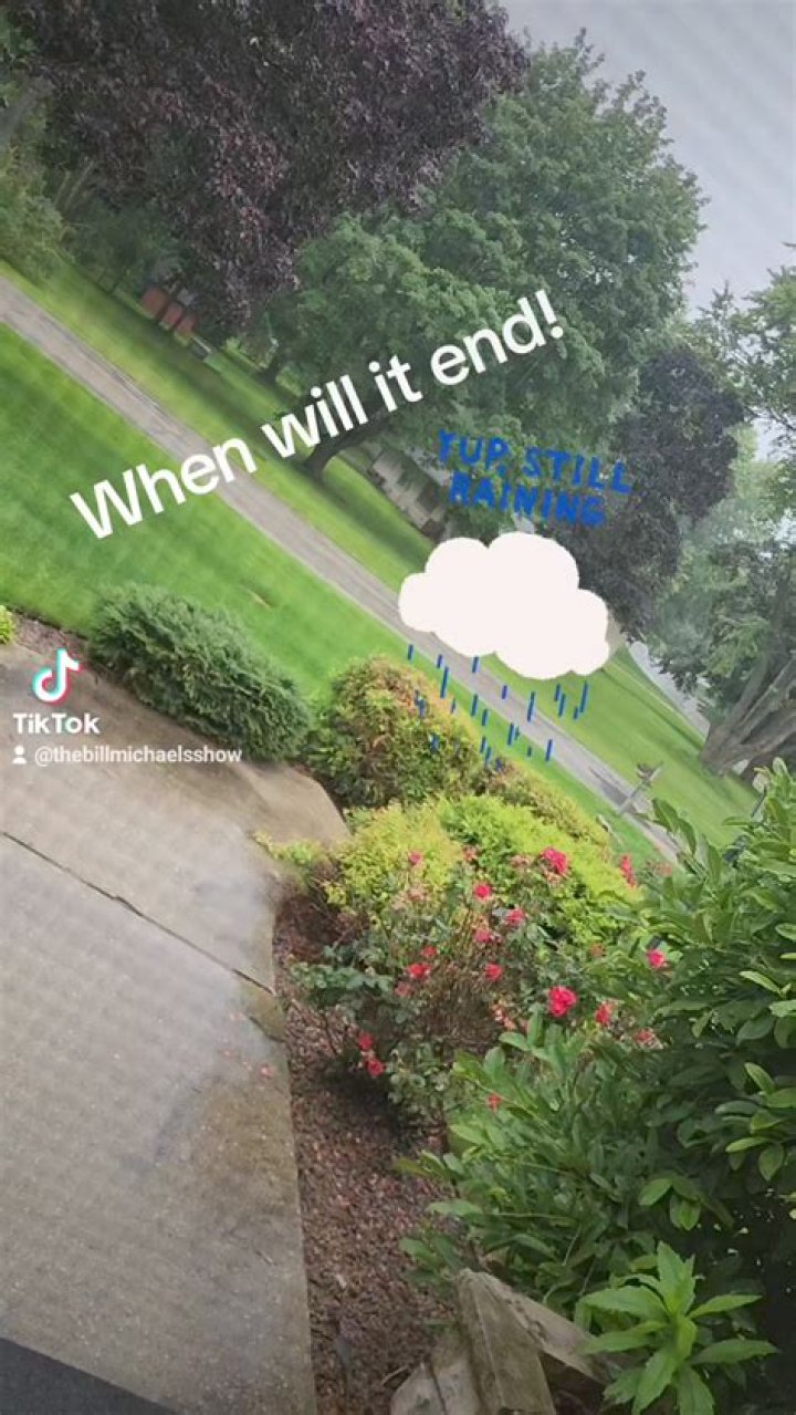 The Last Echo: Unraveling Johnny's Final Musical Revelation